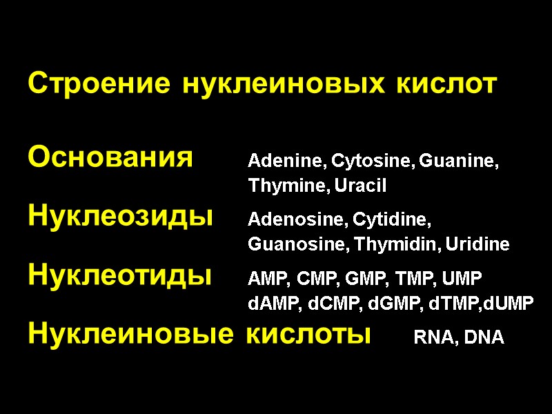 Строение нуклеиновых кислот  Основания  Adenine, Cytosine, Guanine,     